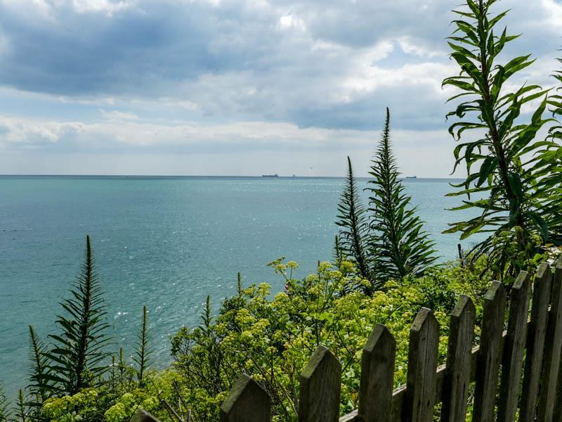 The Crab And Lobster Inn Bembridge Exteriér fotografie