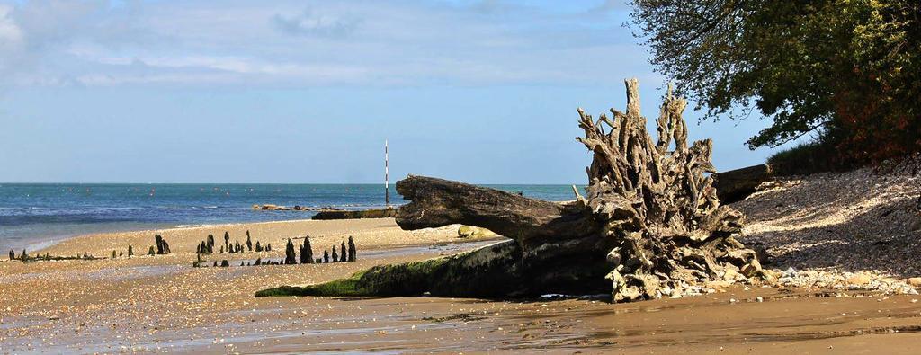 The Crab And Lobster Inn Bembridge Exteriér fotografie