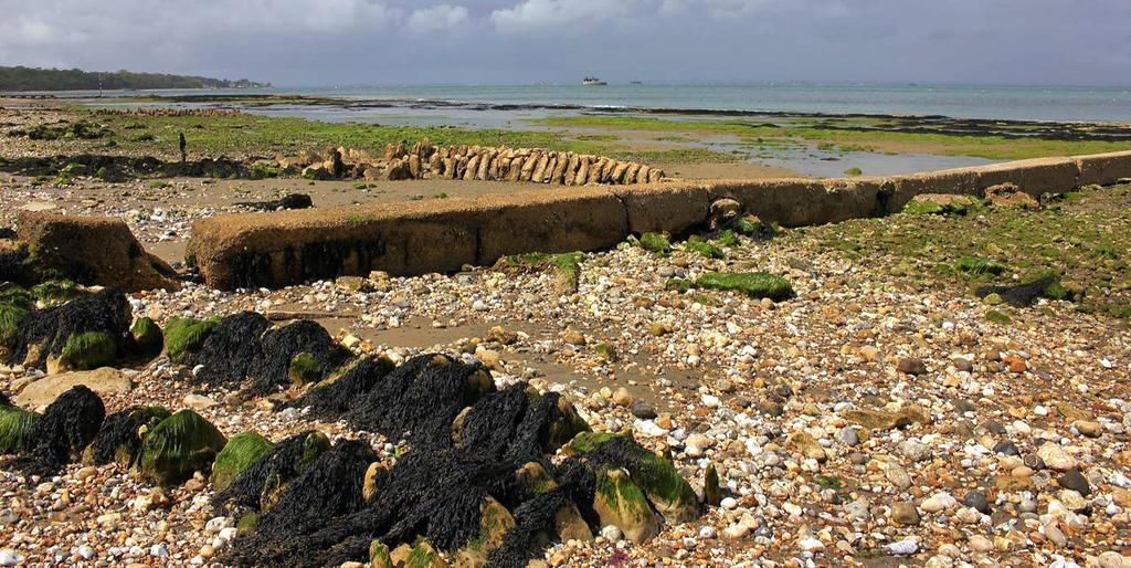 The Crab And Lobster Inn Bembridge Exteriér fotografie